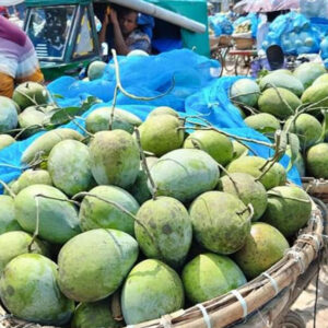 আশ্বিনা/ঝিনুক (Ashwina/Jhinuk Mango)